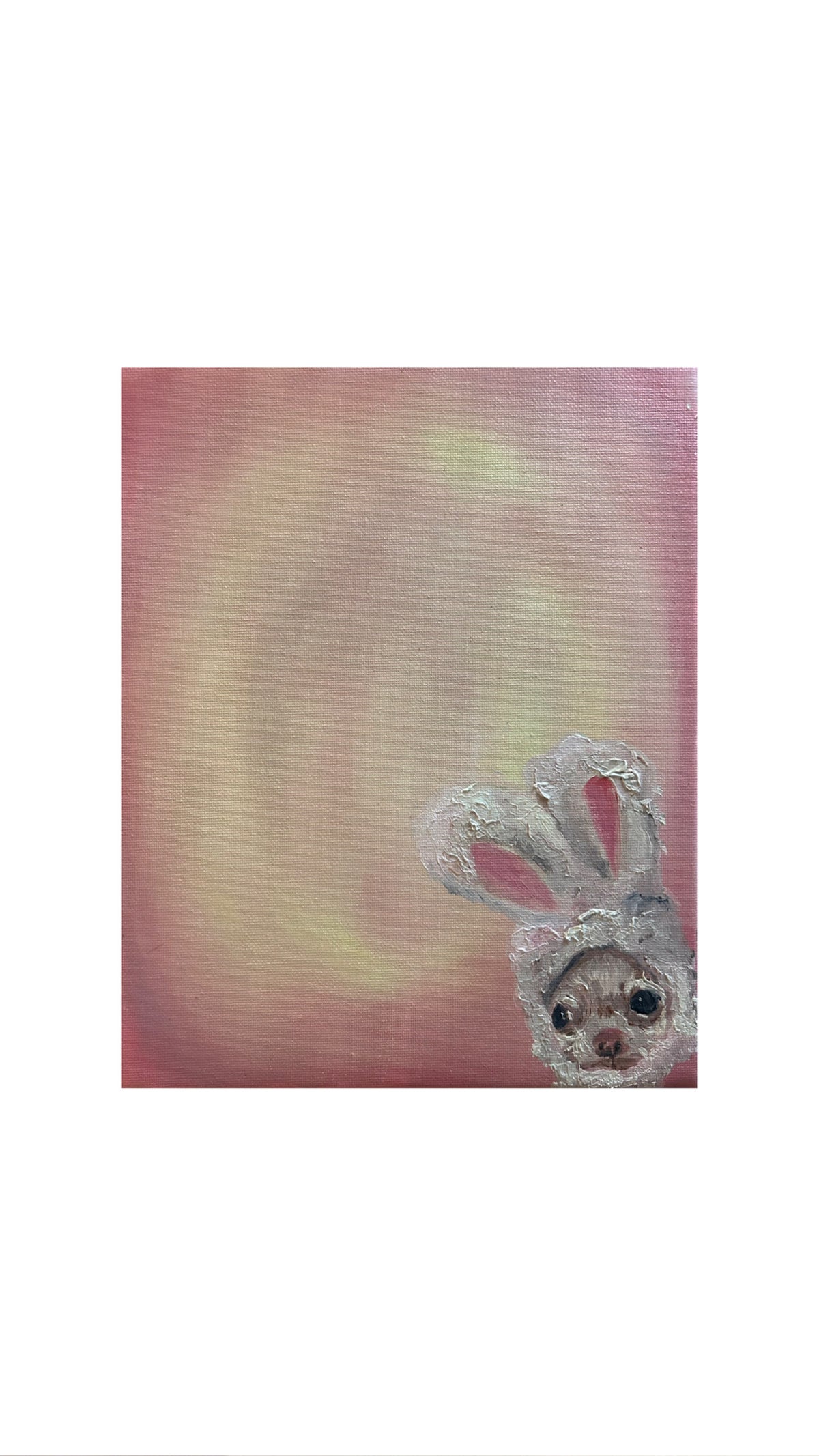 Bunny Chihuahua
