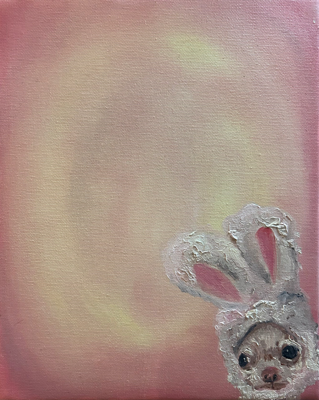 Bunny Chihuahua